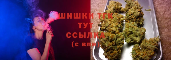 прущие грибы Белоозёрский