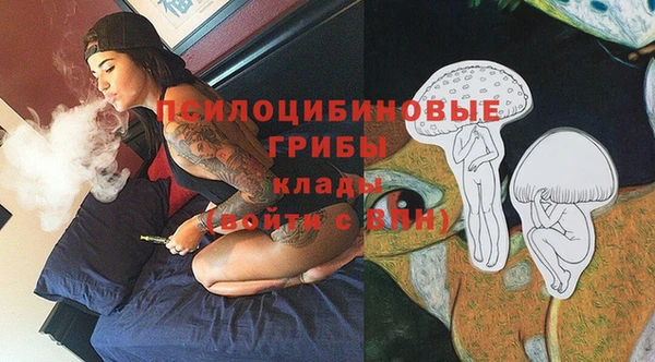 бутират Белокуриха