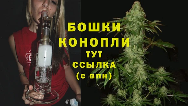 прущие грибы Белоозёрский
