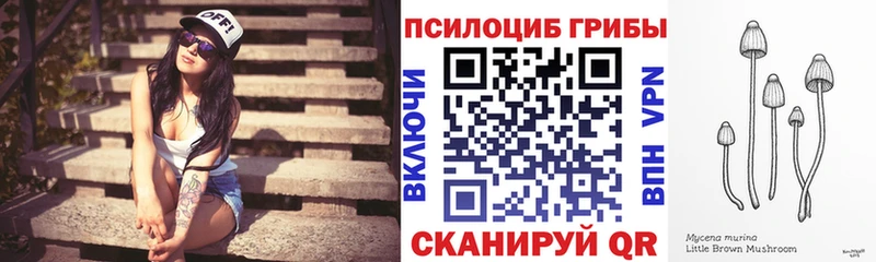 Псилоцибиновые грибы мицелий  где найти   Шахунья 