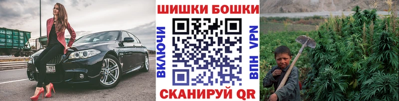 купить наркотики цена  Шахунья  Бошки Шишки AK-47 